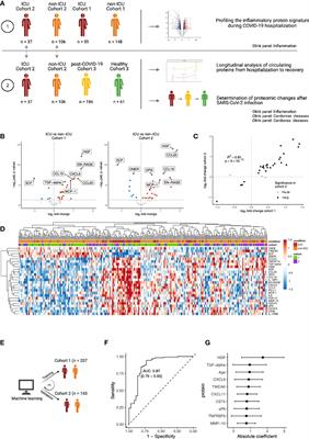 Targeted proteomics identifies circulating biomarkers associated with active COVID-19 and post-COVID-19